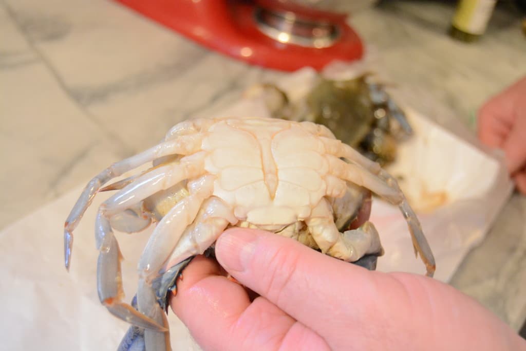 soft shell crab underneath