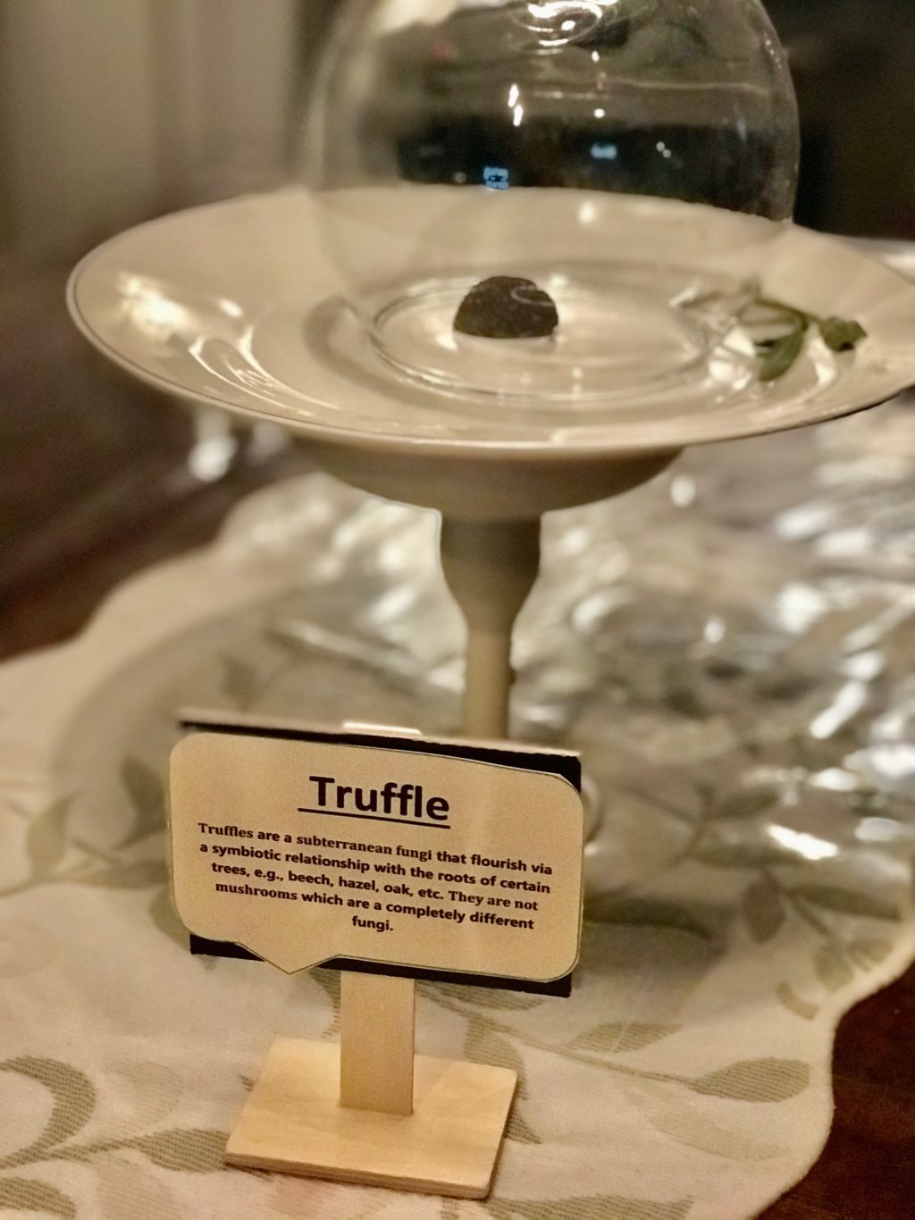 Truffle is a fungal tuber from Burgundy, France